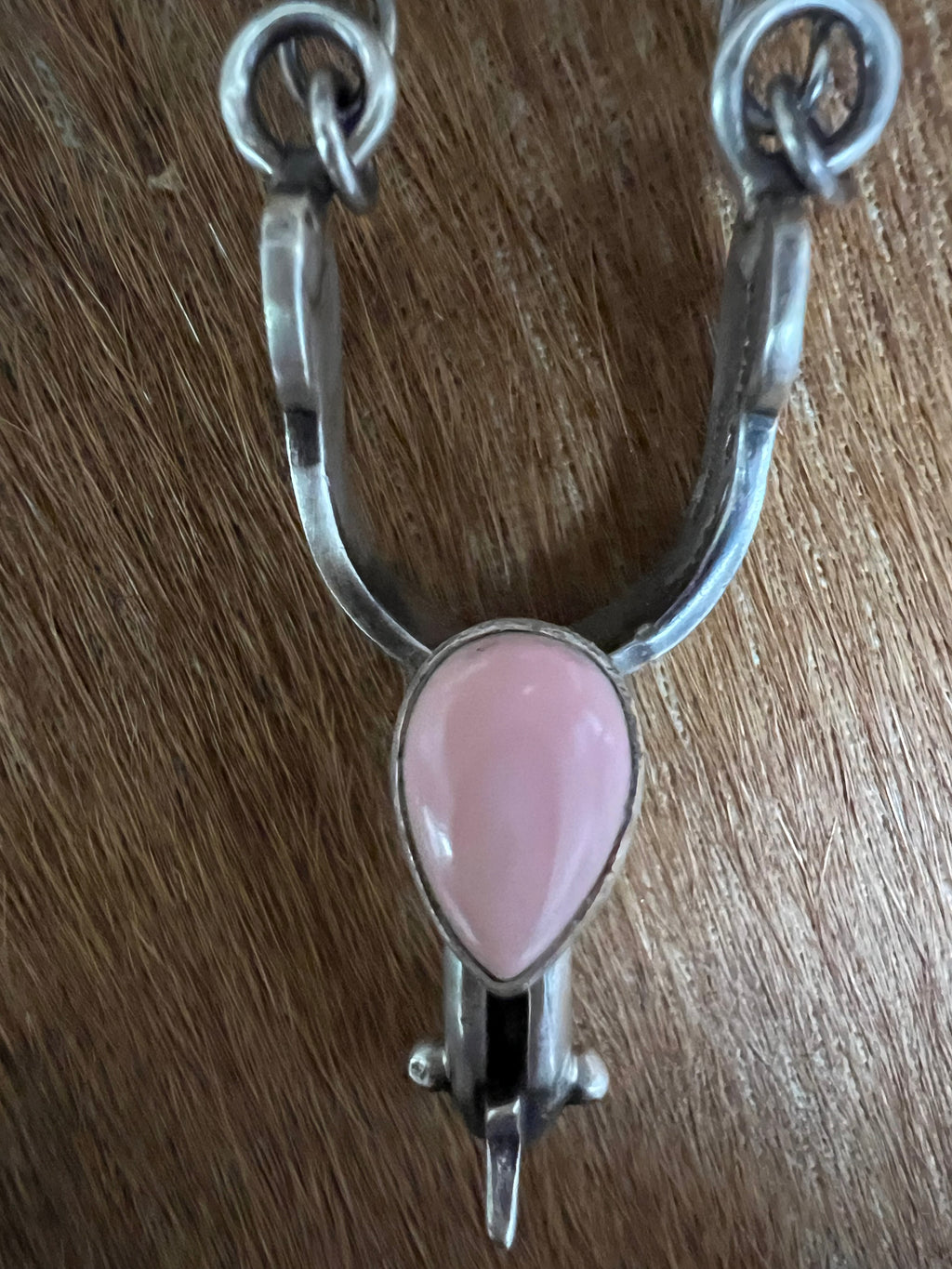 Pink Conch Spur