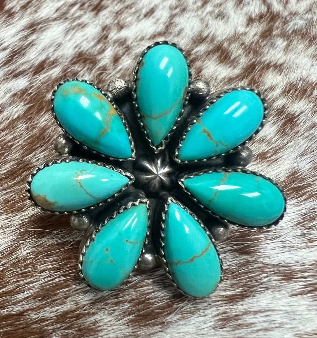 Cluster Ring-S1