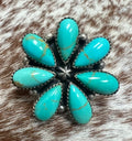 Cluster Ring-S1