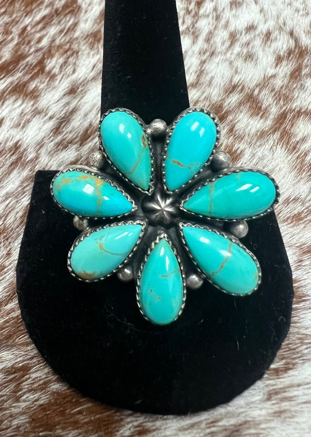 Cluster Ring-S1