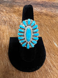 Cluster Ring