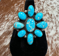 Cluster Ring-WW