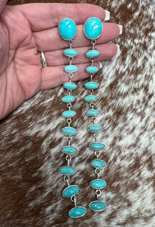 11 Stone Earrings